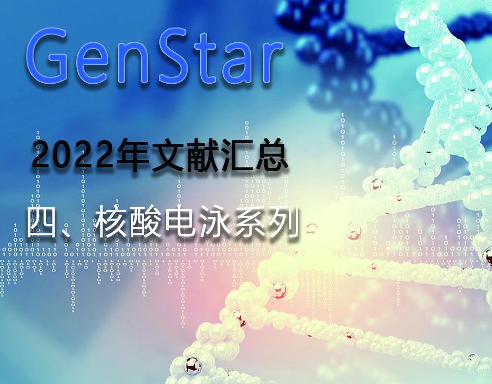 GenStar 2022年文獻(xiàn)匯總（四、核酸電泳系列）